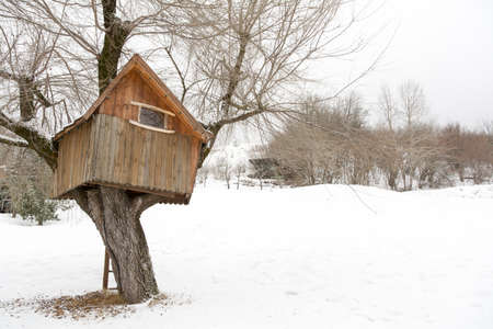 wooden tree house, winter in Andalo, Dolomites, Italyの写真素材