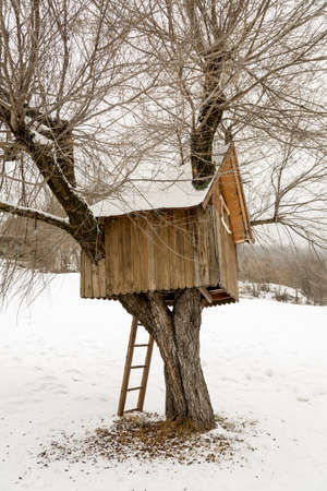 wooden tree house, winter in Andalo, Dolomites, Italyの写真素材