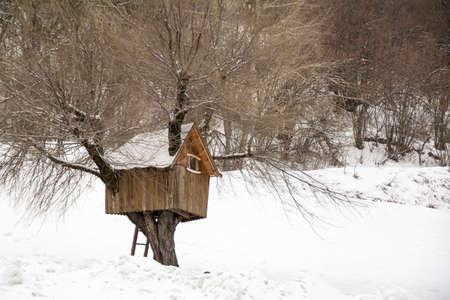 wooden tree house, winter in Andalo, Dolomites, Italyの写真素材