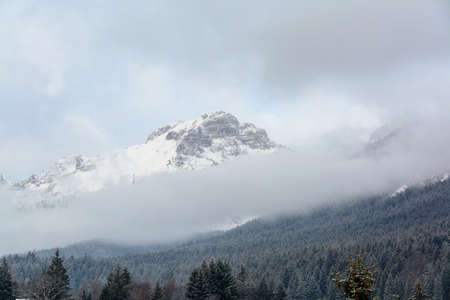 snow storm over Paganella Mountain in Adamello-Brenta National Park, Dolomites, Italyの写真素材