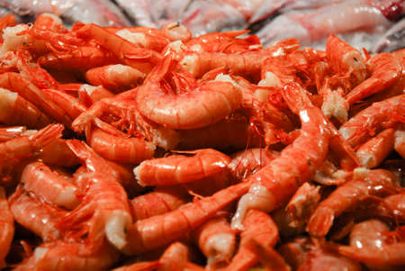Fresh shrimp at the fish market in Veniceの写真素材