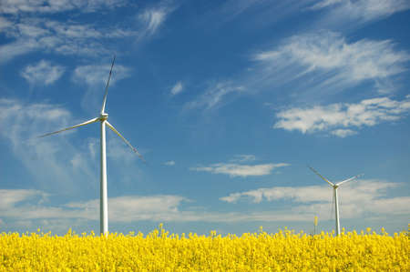 Beautiful view of wind turbine on field of oil rapeseed