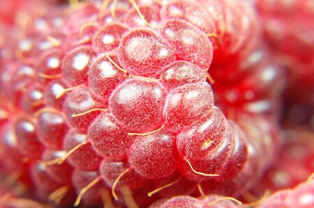 raspberriesの写真素材