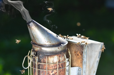 bee smokerの写真素材