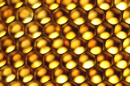 natural honeycombの写真素材