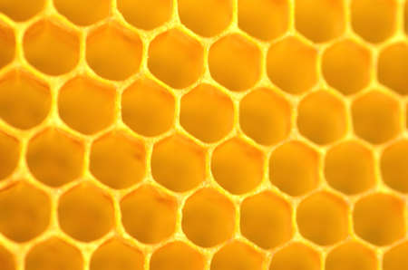 natural honeycomb