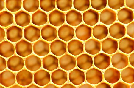 natural honeycombの写真素材