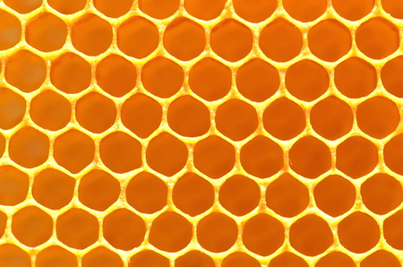 natural honeycombの写真素材