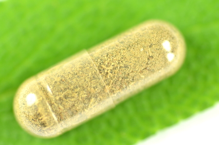closeup of herbal capsule on sage leaf isolated on white の写真素材