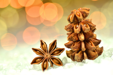 christmas spices, anise stars on bokeh backgroundの写真素材
