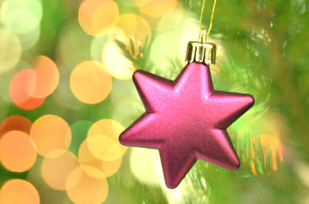 christmas decoration, pink Christmas star ball hanging on spruce twig against bokeh backgroundの写真素材