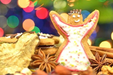 christmas spices, nuts, cookies and dried fruits on bokeh background の写真素材