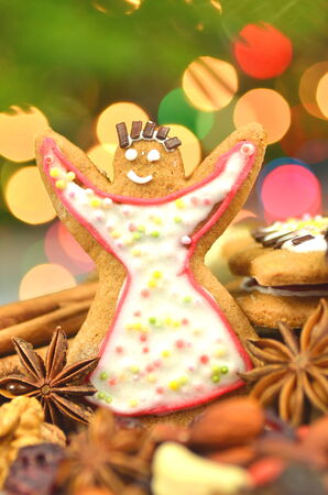 christmas spices, nuts, cookies and dried fruits on bokeh background の写真素材