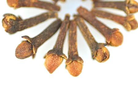 christmas spices, cloves isolated on white background の写真素材