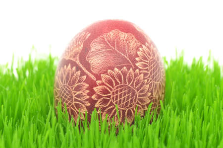 traditional scratched handmade Easter egg on the grass isolated on whiteの写真素材