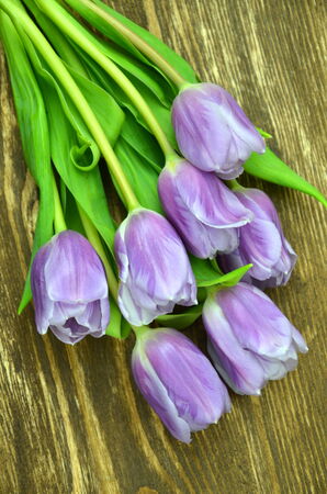 a bouquet of beautiful violet tulips on rustic wooden tableの写真素材