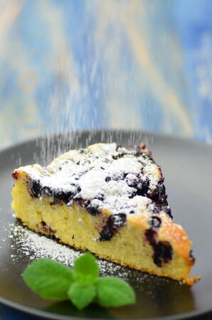 piece of delicious homemade fruity sponge cake with blueberriesの写真素材
