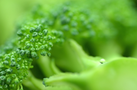 closeup of pieces of fresh broccoli in potの写真素材