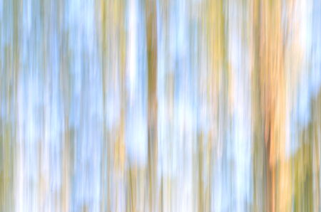 colorful abstract organic blurred lines for backgroundの写真素材
