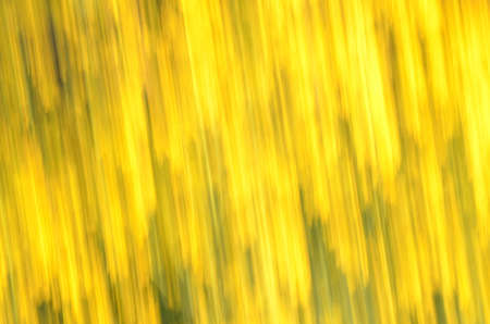 colorful abstract organic blurred lines for backgroundの写真素材
