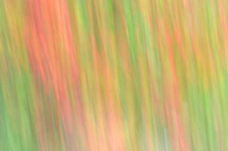 colorful abstract organic blurred lines for backgroundの写真素材
