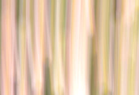colorful abstract organic blurred lines for backgroundの写真素材