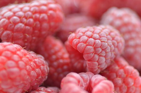 closeup of ripe, fresh and sweet raspberries の写真素材