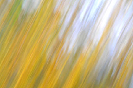 colorful abstract organic blurred lines for backgroundの写真素材