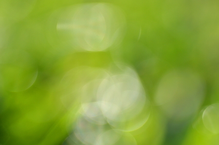 abstract natural green background with bokeh effectの写真素材