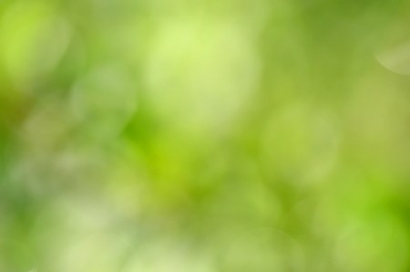 abstract natural green background with bokeh effectの写真素材