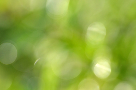 abstract natural green background with bokeh effectの写真素材