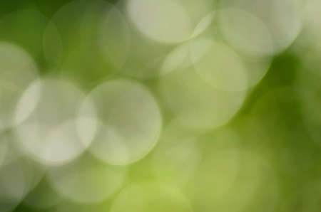 abstract natural green background with bokeh effectの写真素材