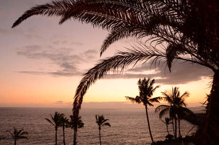 Picturesque and moody twilight over southern Tenerife, Canary Islands, Spain