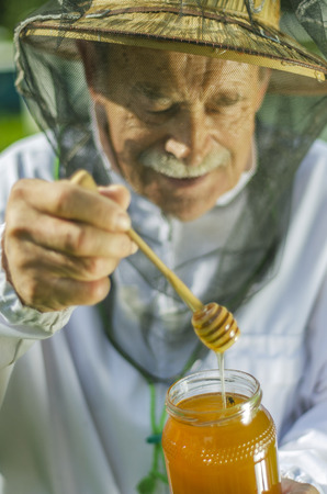 senior apiarist checking his honey in apiaryの写真素材