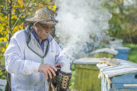 senior apiarist making inspection in apiary in the summertimeの写真素材