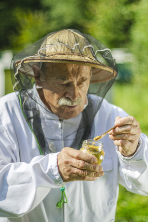 senior apiarist checking his bee pollen in apiaryの写真素材