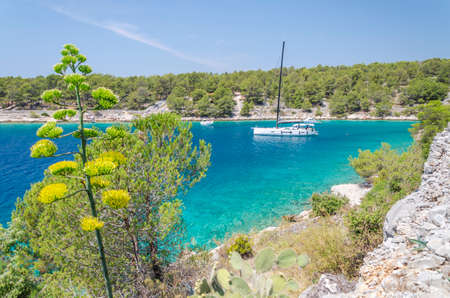 Scenic bay with rocky beaches nearby Milna on the south-west coast of Brac island in Croatiaの写真素材