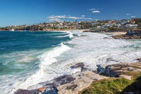 Picturesque sandy beaches of Tamarama and Bronte in Sydney, Australia. Due to high waves they are perfect place for surfing.のeditorial素材