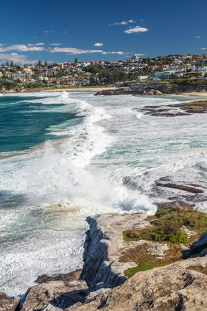 Picturesque sandy beaches of Tamarama and Bronte in Sydney, Australia. Due to high waves they are perfect place for surfing.のeditorial素材