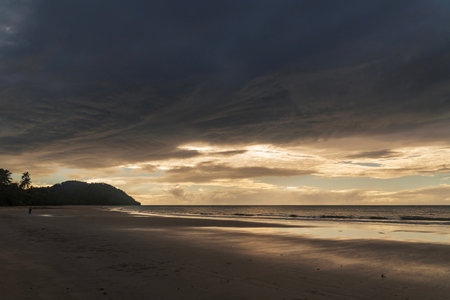 Picturesque tropical coastal sandy beach in Cape Tribulation, Queensland, Australia. Cape Tribulation is within Daintree National Park on Coral Sea.の写真素材