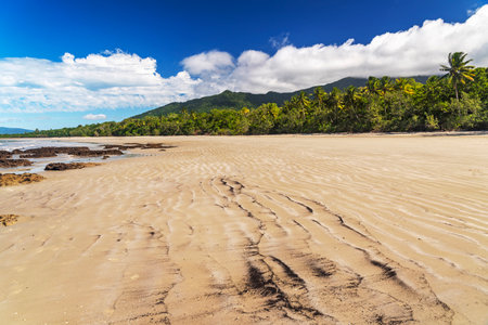 Picturesque tropical coastal sandy beach in Cape Tribulation, Queensland, Australia. Cape Tribulation is within Daintree National Park on Coral Sea.の写真素材