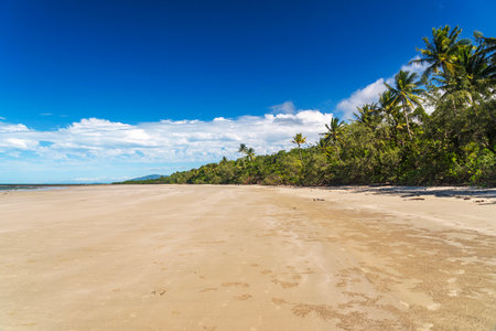 Picturesque tropical coastal sandy beach in Cape Tribulation, Queensland, Australia. Cape Tribulation is within Daintree National Park on Coral Sea.の写真素材