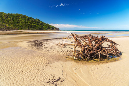Picturesque tropical coastal sandy beach in Cape Tribulation, Queensland, Australia. Cape Tribulation is within Daintree National Park on Coral Sea.の写真素材