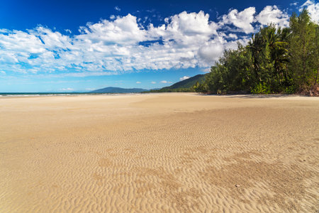 Picturesque tropical coastal sandy beach in Cape Tribulation, Queensland, Australia. Cape Tribulation is within Daintree National Park on Coral Sea.の写真素材