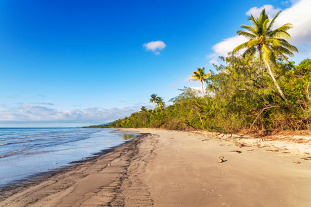 Picturesque tropical coastal sandy beach in Cape Tribulation, Queensland, Australia. Cape Tribulation is within Daintree National Park on Coral Sea.の写真素材