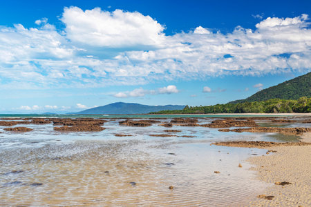 Picturesque tropical coastal sandy beach in Cape Tribulation, Queensland, Australia. Cape Tribulation is within Daintree National Park on Coral Sea.の写真素材