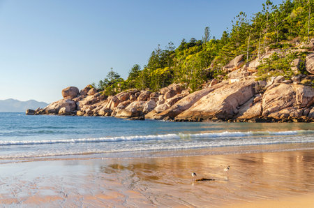 Picturesque golden sandy Alma Beach with granite boulders and turquoise water on Magnetic Island, Queensland, Australia. It is a holiday destination 8 km offshore of Townsville.の写真素材