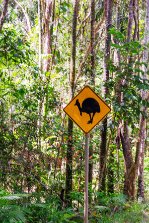 Cassowary warning sign on road in Daintree Rainforest, Queensland, Australiaの写真素材