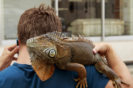 ZADAR, CROATIA - JULY 15, 2014: The street promotion of Exhibition of reptiles in Zadar, Croatiaのeditorial素材