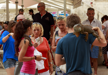 ZADAR, CROATIA - JULY 15, 2014: The street promotion of Exhibition of reptiles in Zadar, Croatiaのeditorial素材